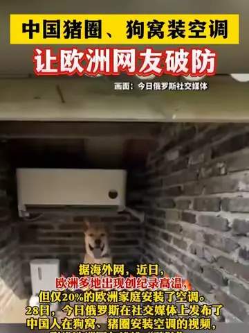 猪圈空调引热议，王者峡谷“降温”套路让老外破防