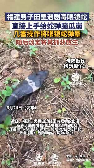 男子弹眼镜蛇脑瓜崩灵感爆改，王者荣耀新版“蛇王”边路攻略来袭