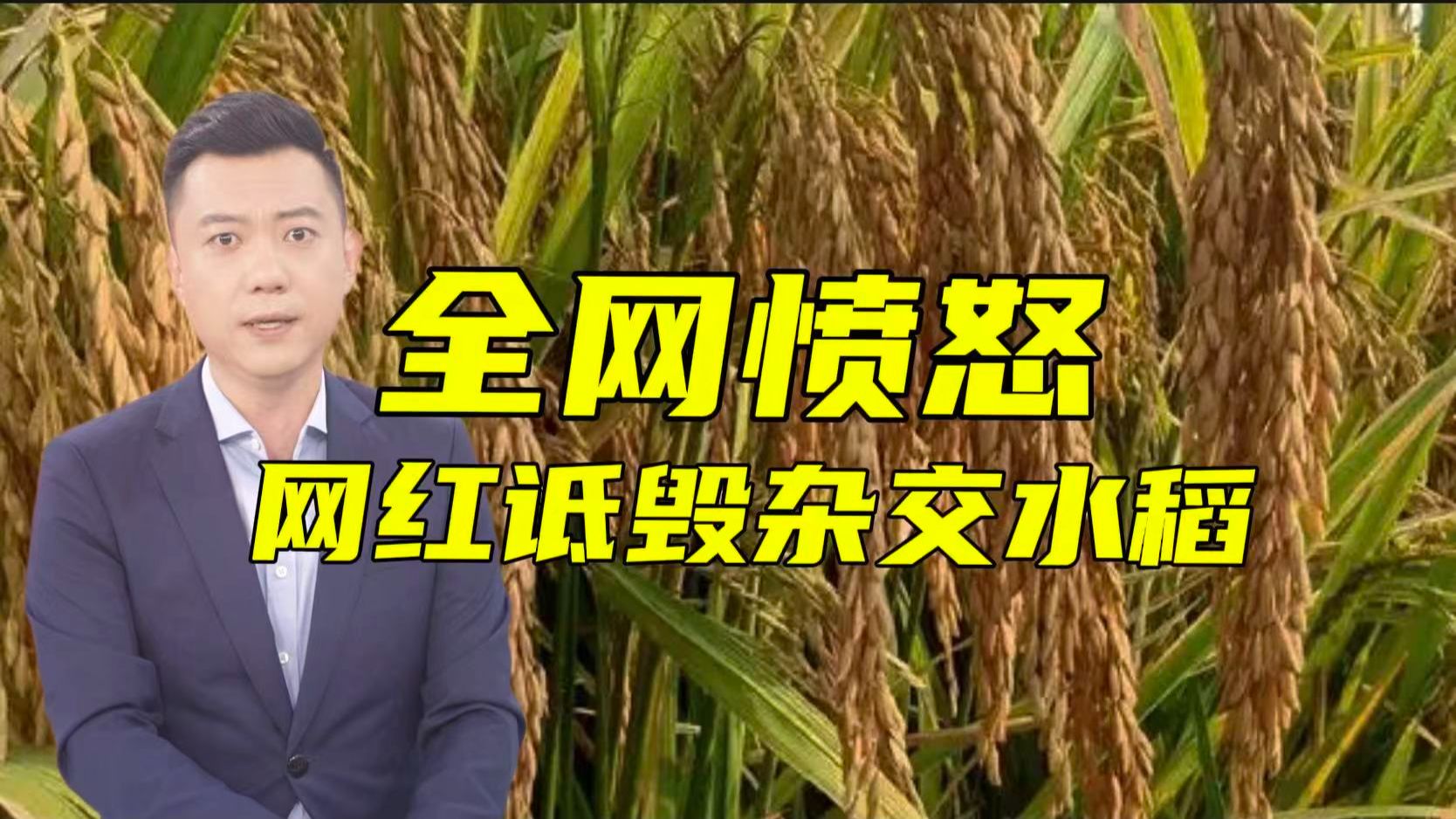 DOTA2“三系杂交”战术体系：看懂它才能看懂中国战队的制胜法宝