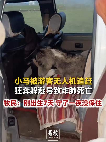 无人机惊马悲剧警醒峡谷：关羽“炸肺”玩法遭版本暗改，KPL选手紧急调整出装